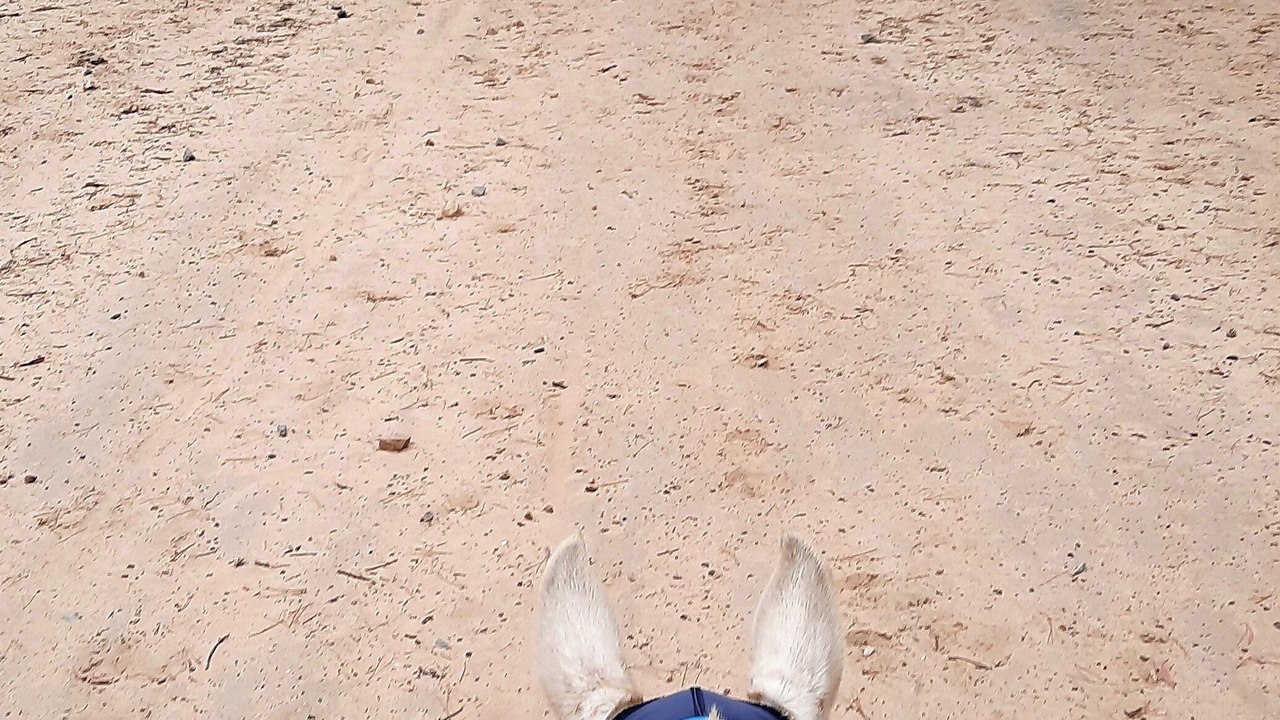 Photo of Bedroom in Talunga