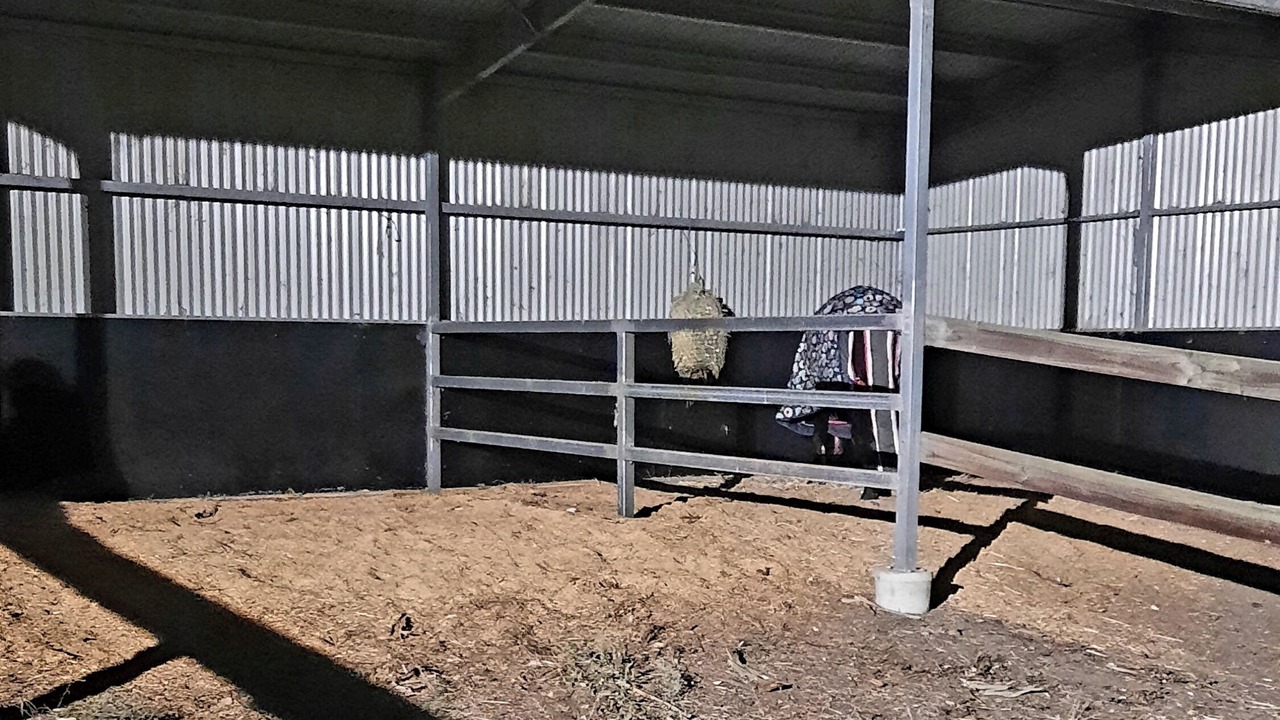 Photo of Others in Talunga