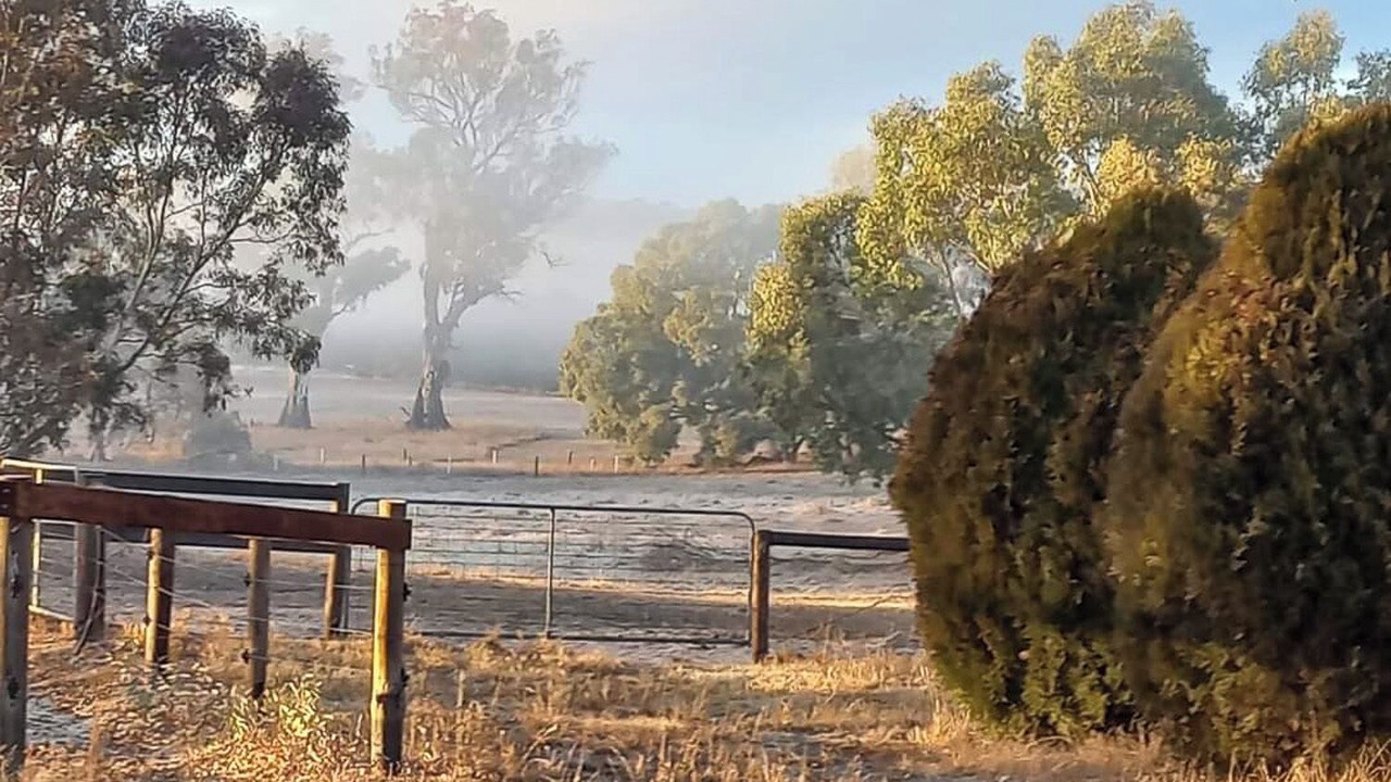 Photo of Others in Talunga