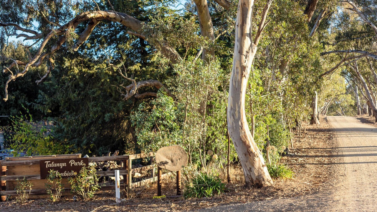 Photo of Outdoor in Talunga