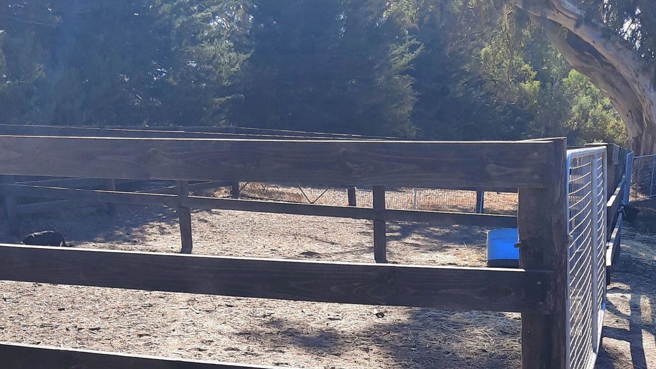 Photo of Others in Talunga