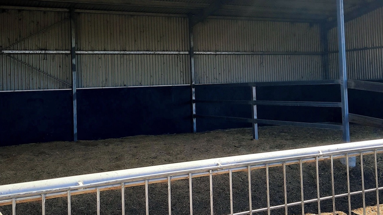 Photo of Others in Talunga