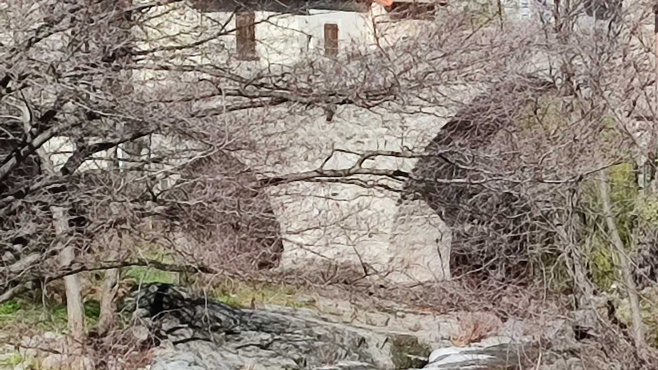 Photo of Outdoor in Villefort