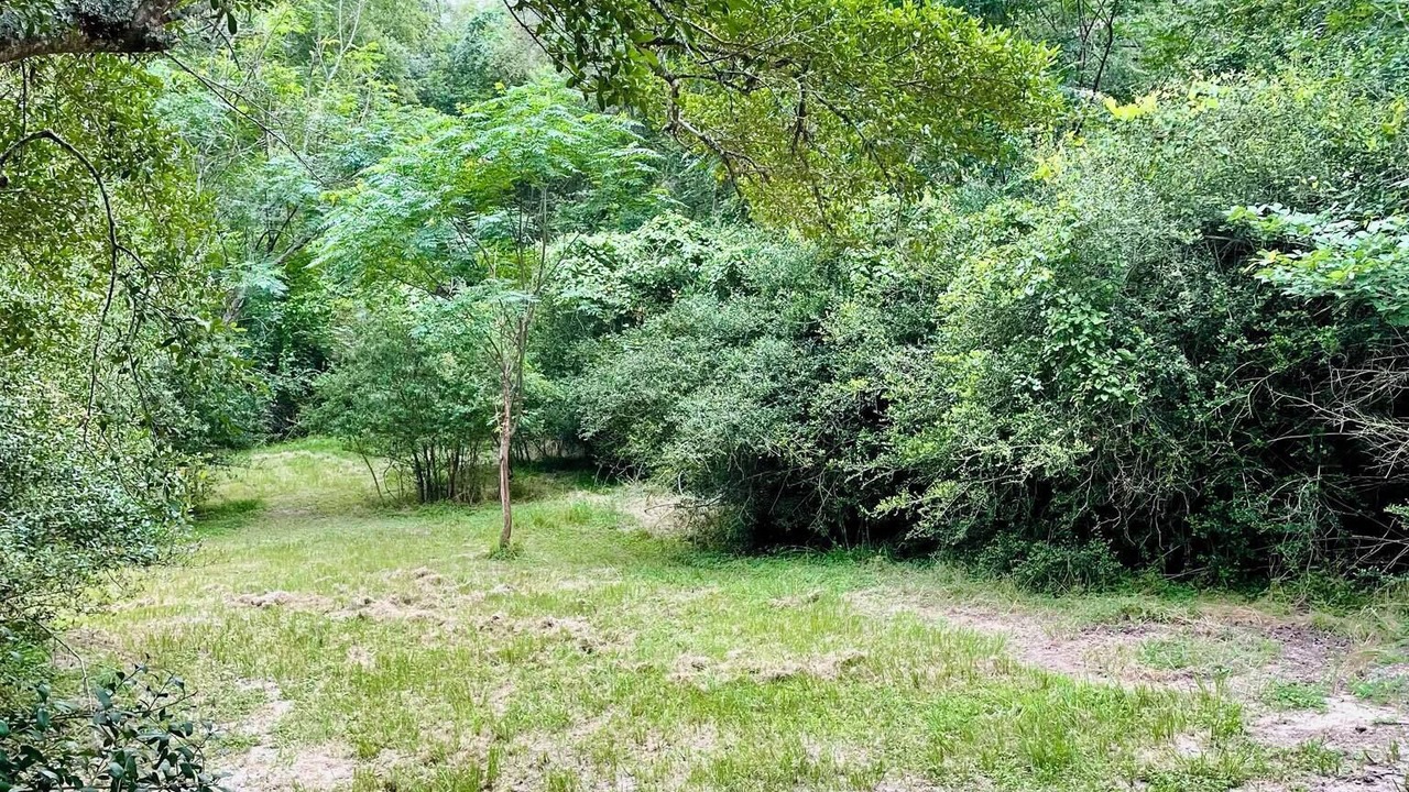 Photo of Outdoor in Bryan