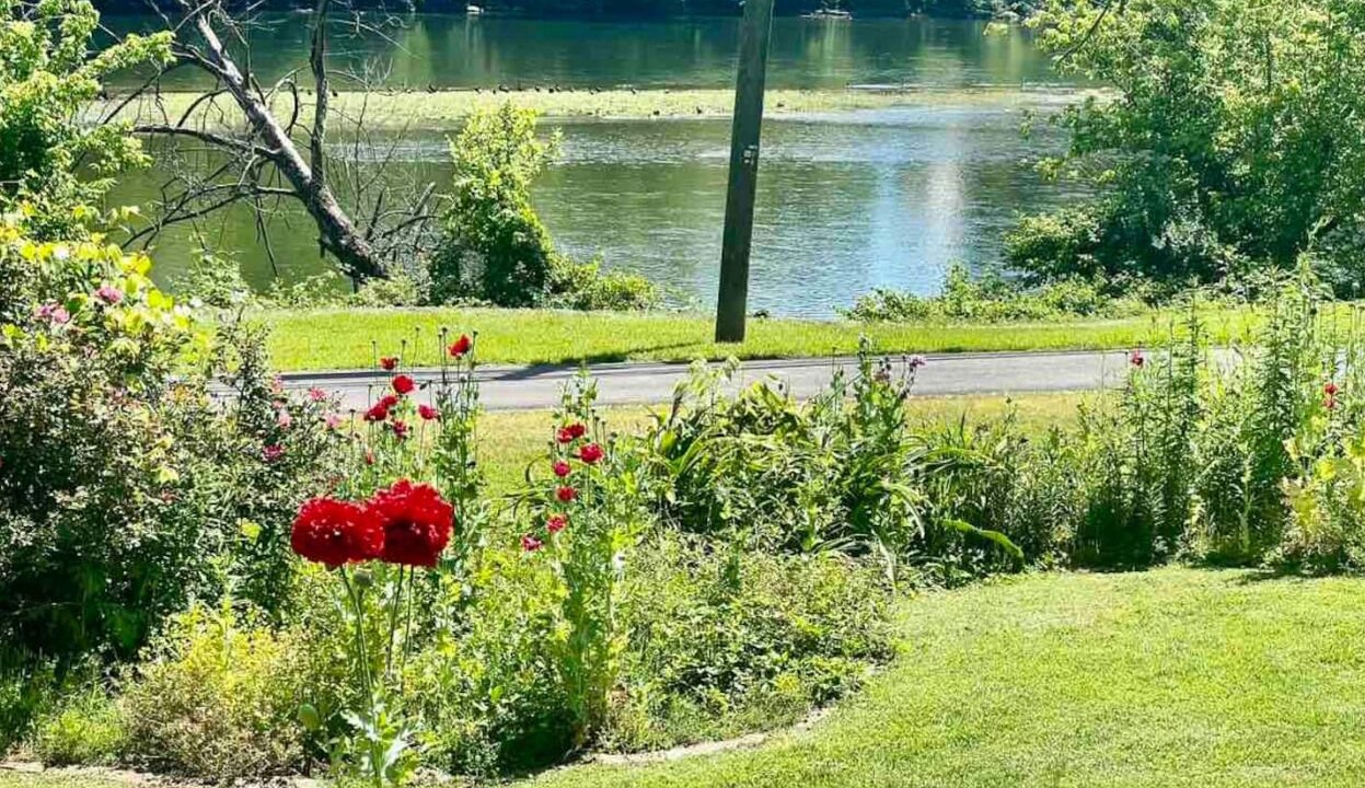 Photo of Outdoor in Kingsport
