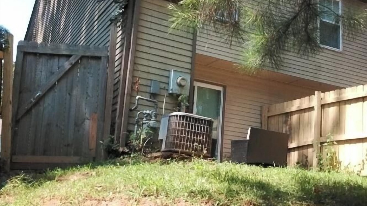 Photo of Outdoor in Stone Mountain