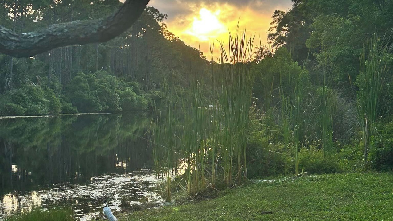 Photo of Outdoor in Alligator Point