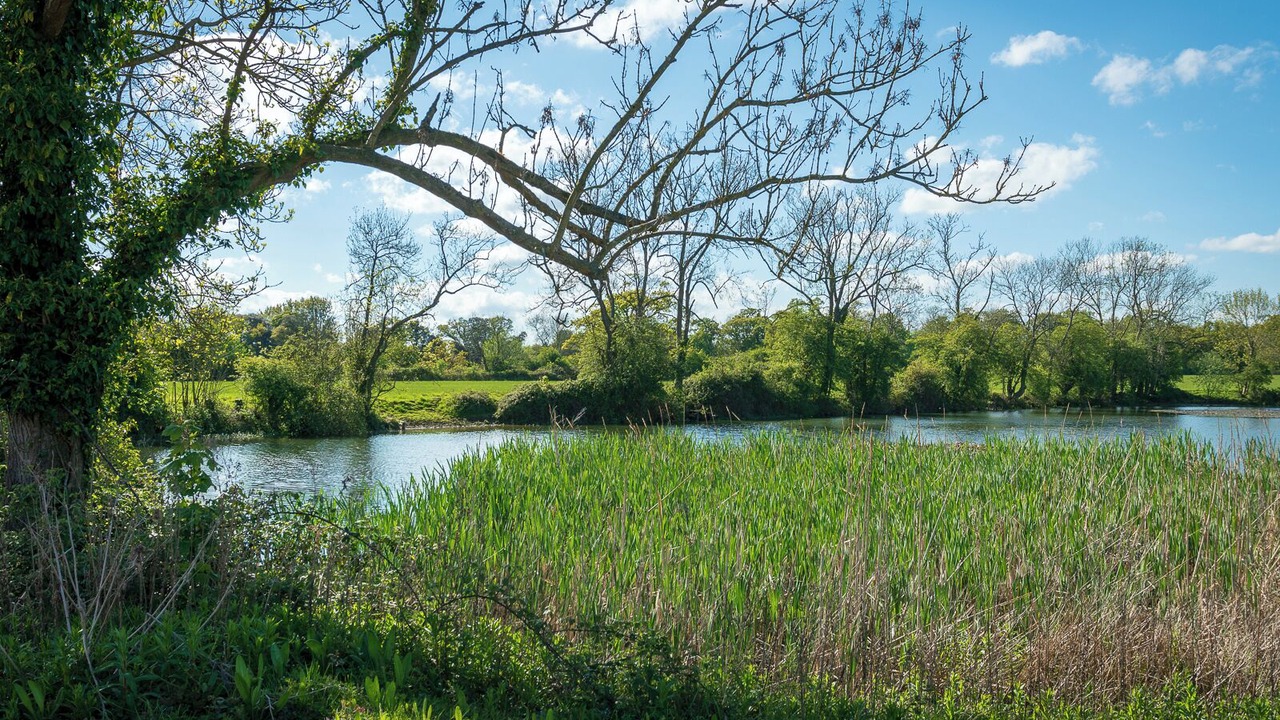 Photo of Outdoor in Beccles