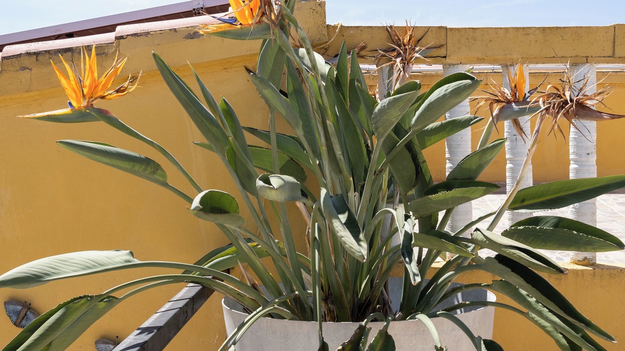 Photo of Outdoor in Torrent