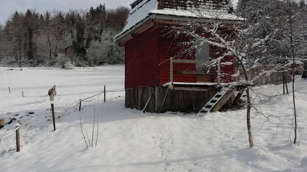 Photo of Outdoor in Merlas