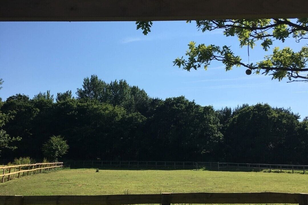 Photo of Outdoor in Upper Dicker