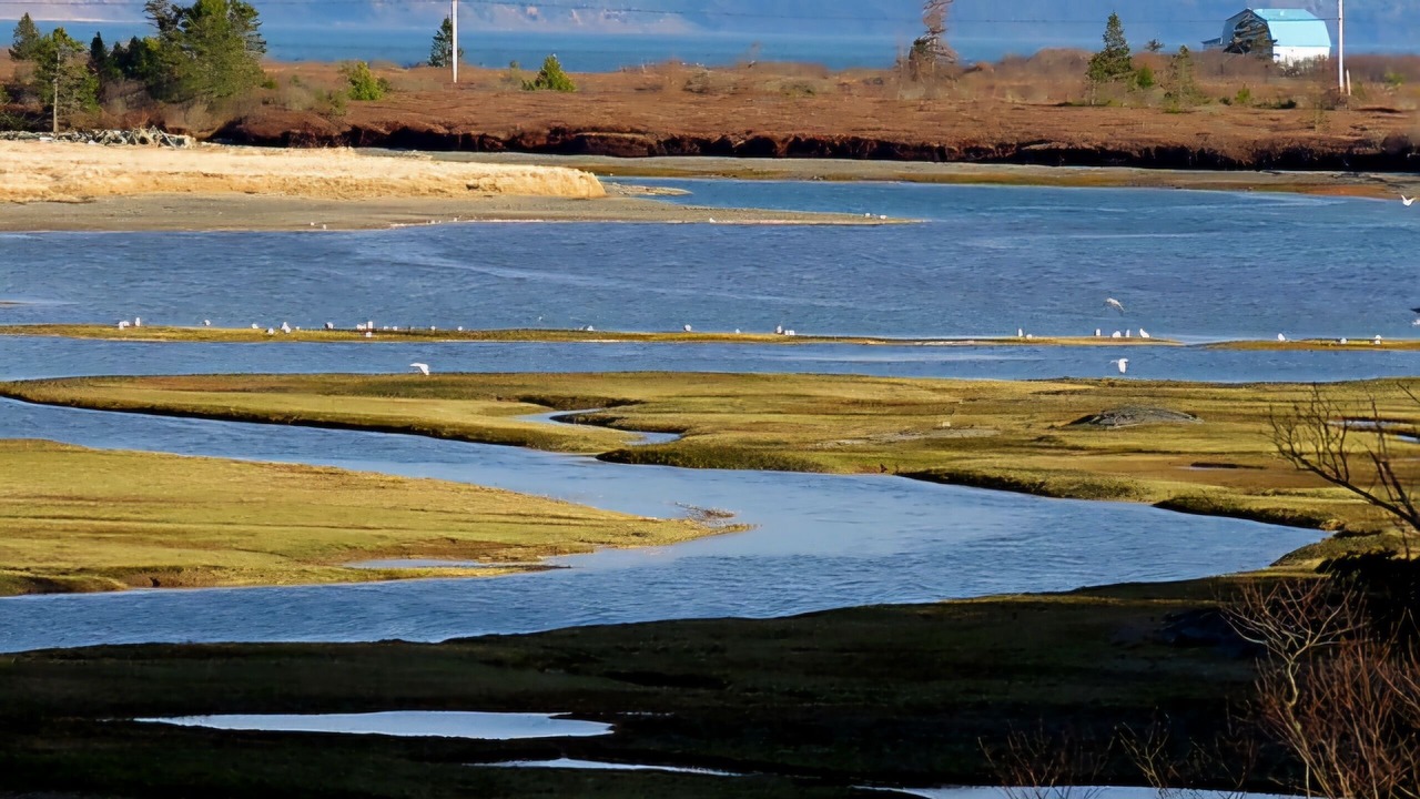 Photo of Others in Lubec