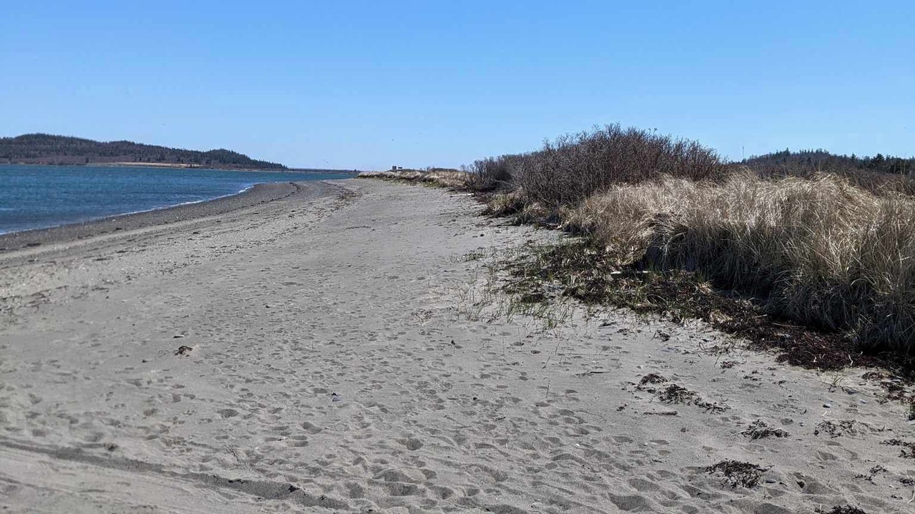 Photo of Others in Lubec