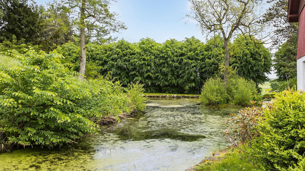 Photo of Others in Brovst