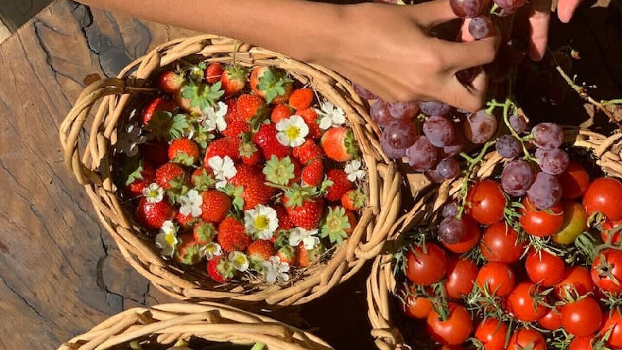 Photo of Others in Kirwans Bridge