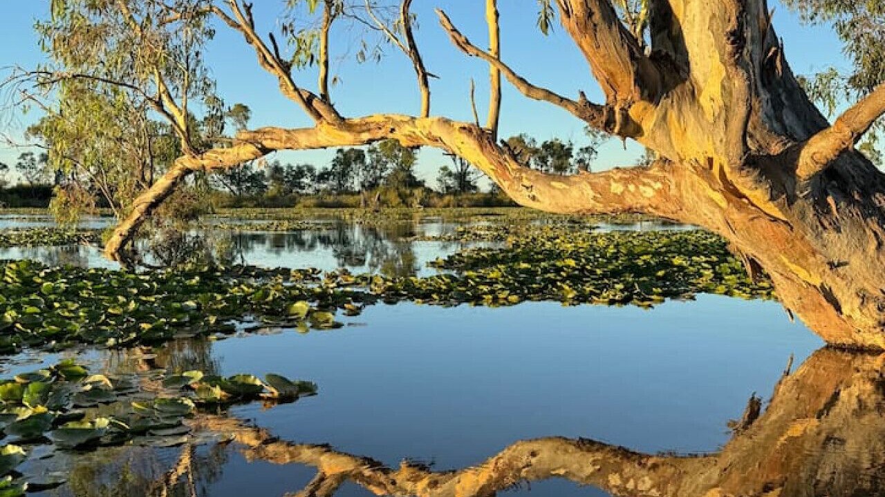 Photo of Others in Kirwans Bridge