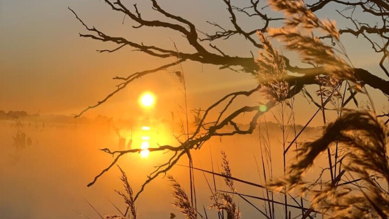 Photo of Others in Kirwans Bridge