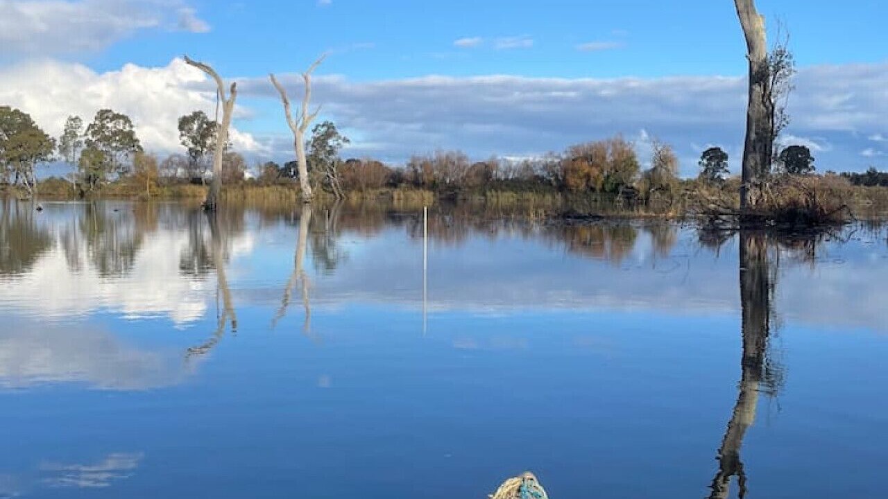 Photo of Others in Kirwans Bridge