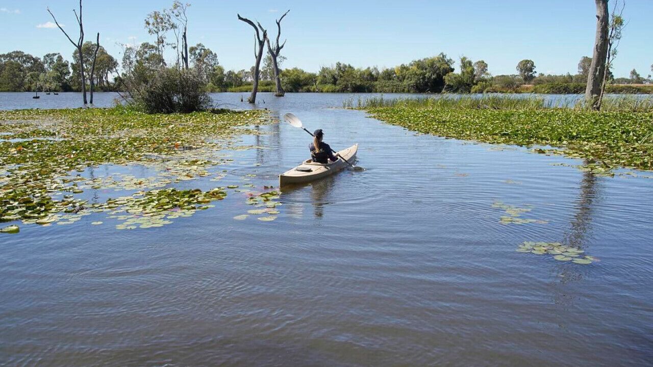 Photo of Others in Kirwans Bridge