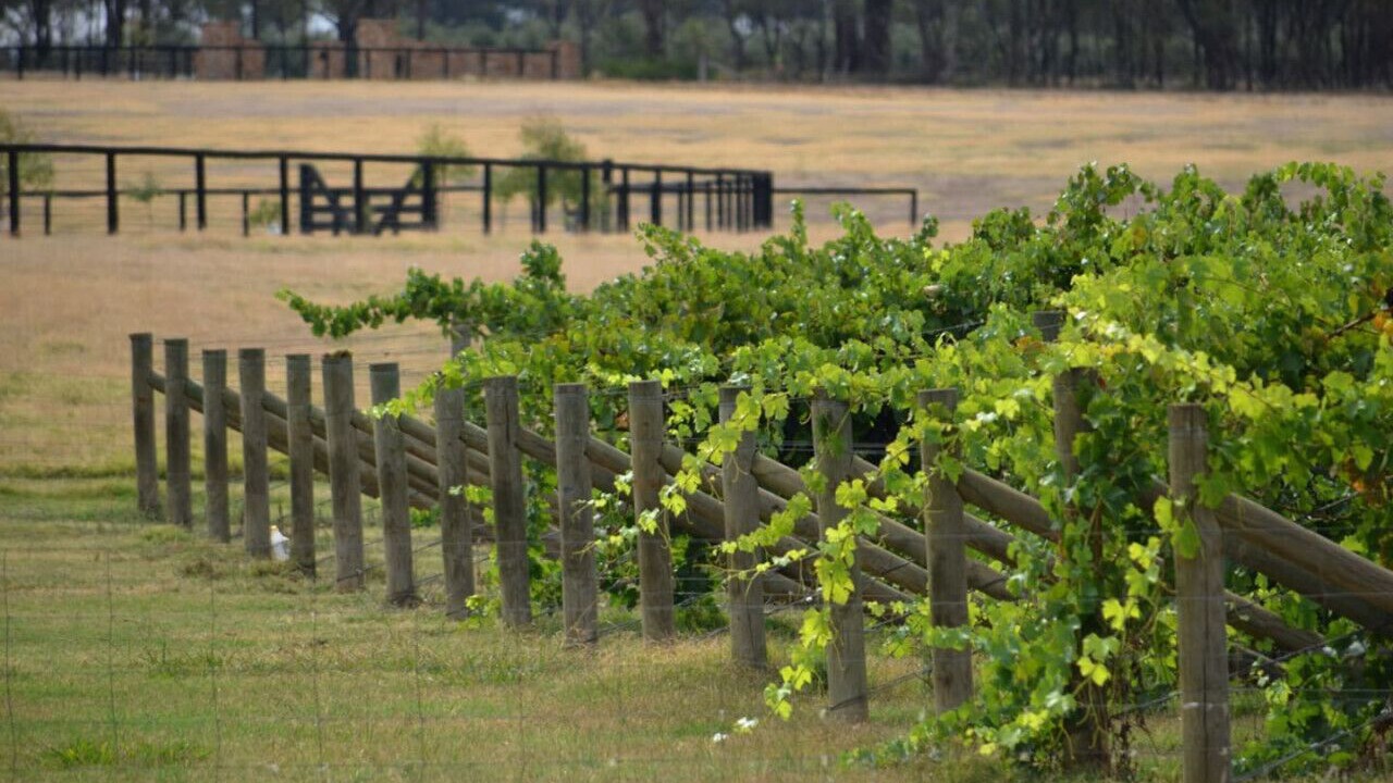 Photo of Outdoor in Kirwans Bridge