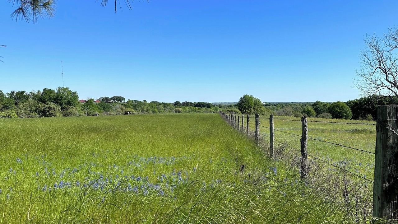Photo of Outdoor in Bellville