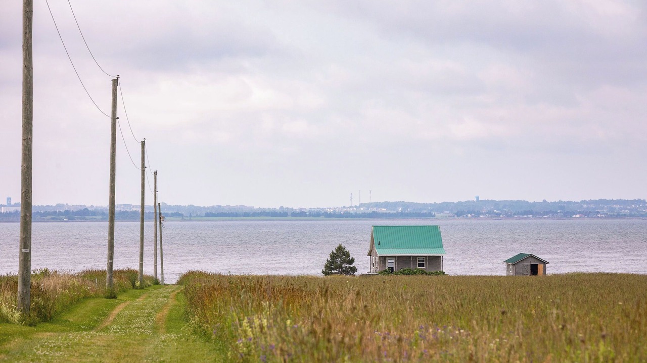 Photo of Others in Hamilton