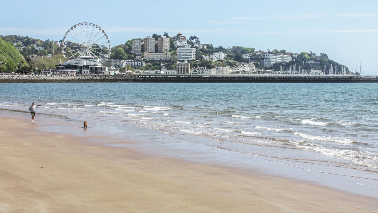 Photo of Others in Torquay City Centre