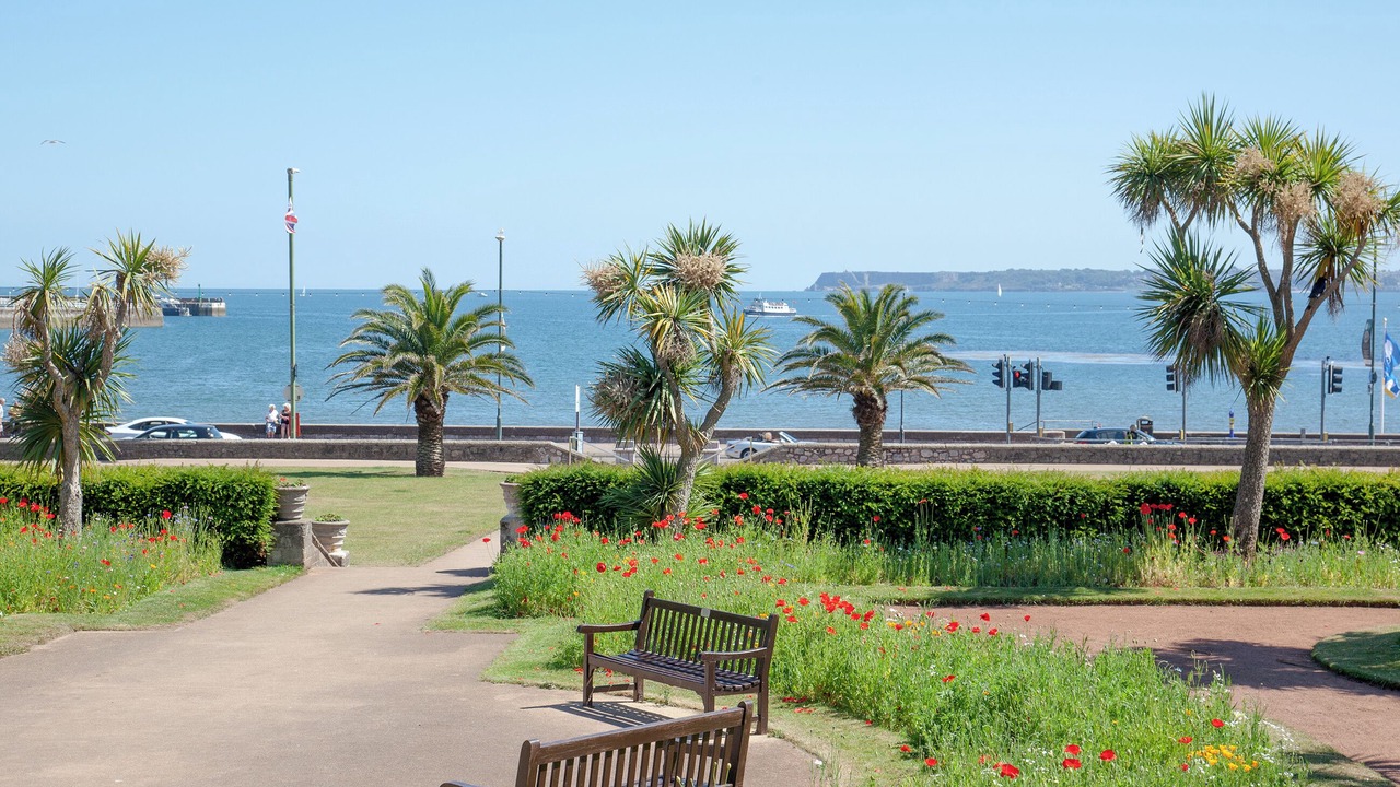 Photo of Others in Torquay City Centre