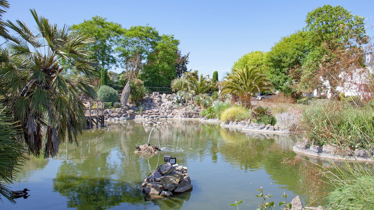 Photo of Others in Torquay City Centre