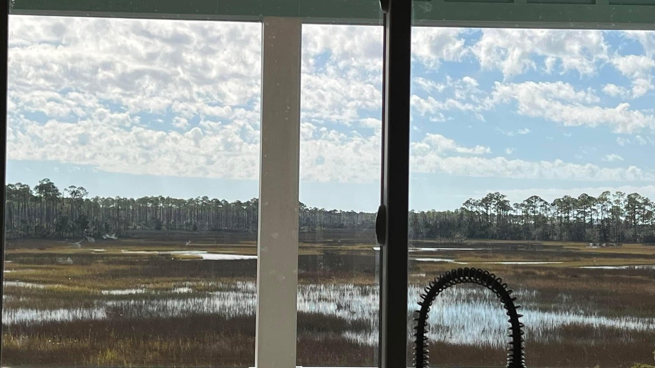 Photo of Others in Steinhatchee