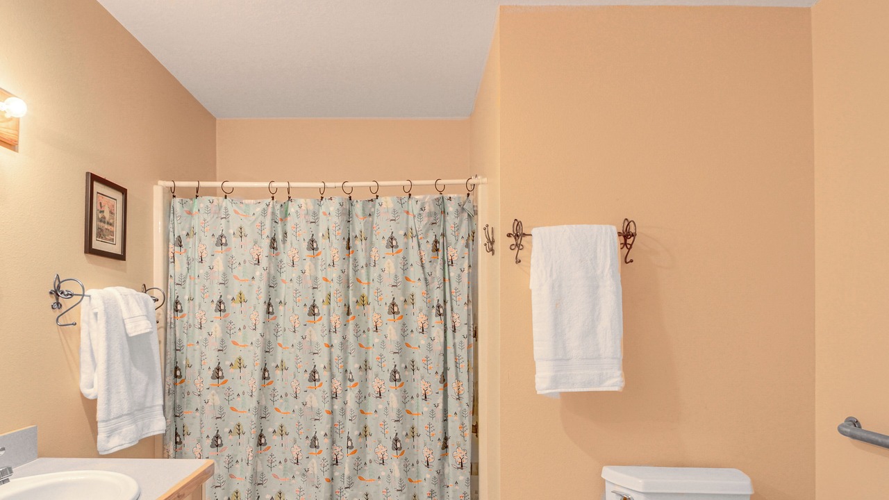 Photo of Bathroom in Lutsen