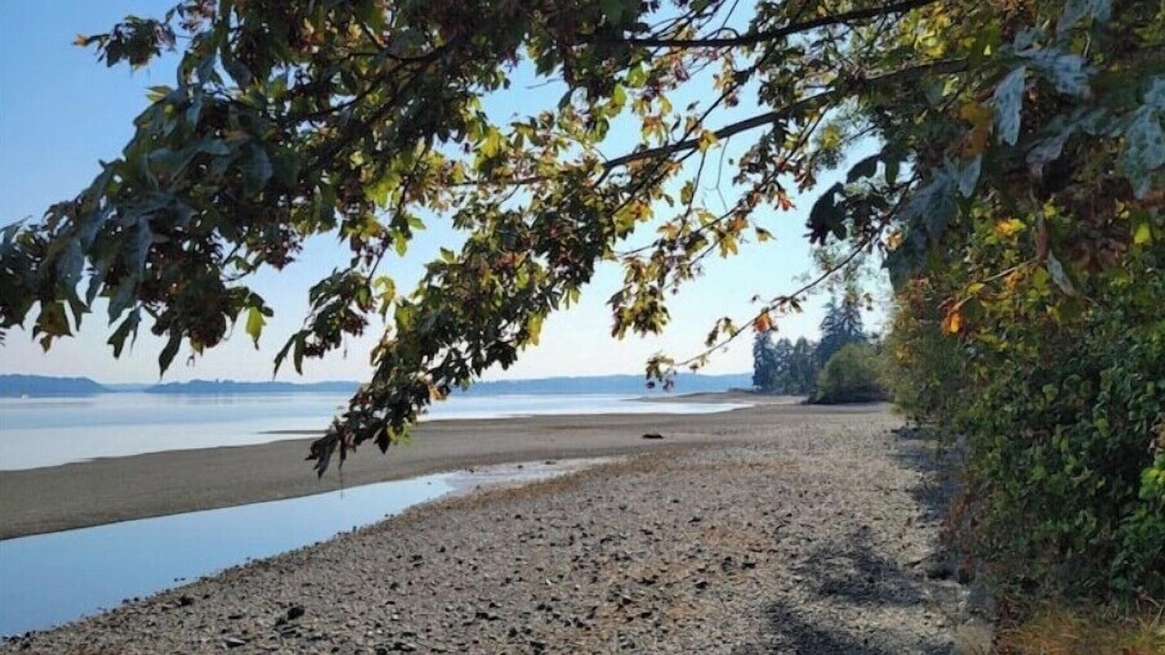 Photo of Others in Silverdale