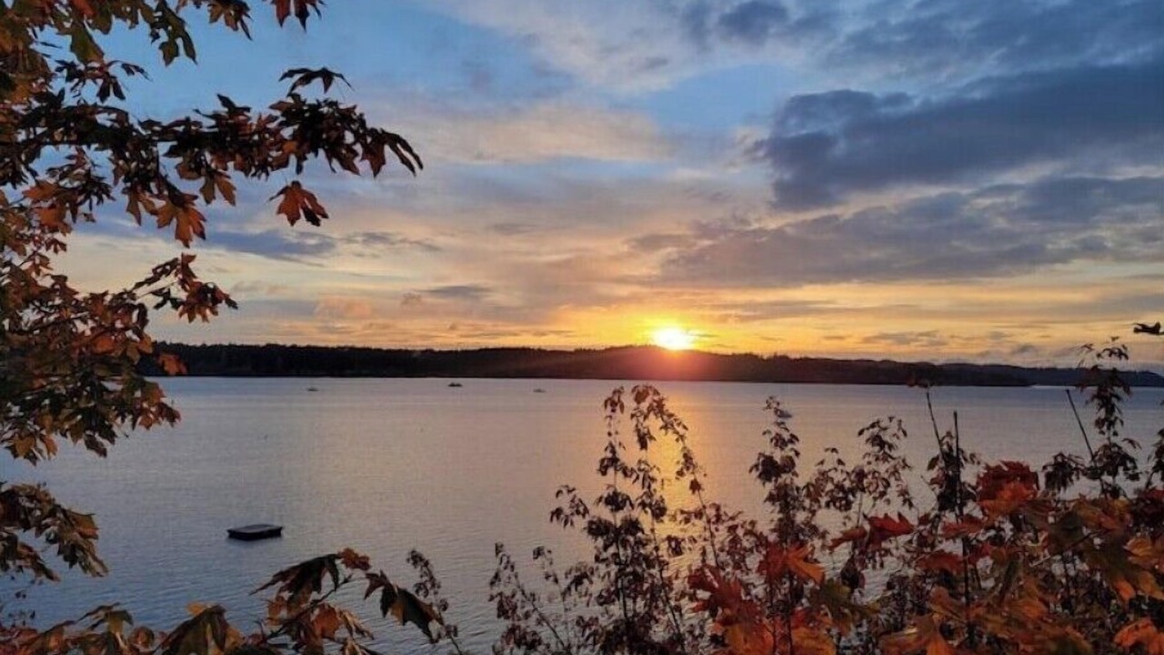 Photo of Others in Silverdale