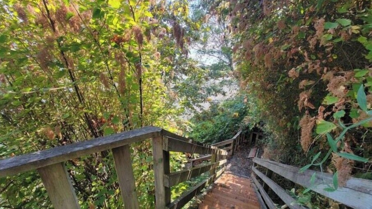 Photo of Outdoor in Silverdale