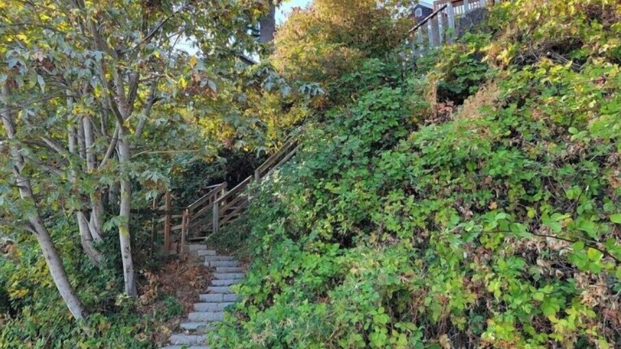 Photo of Outdoor in Silverdale