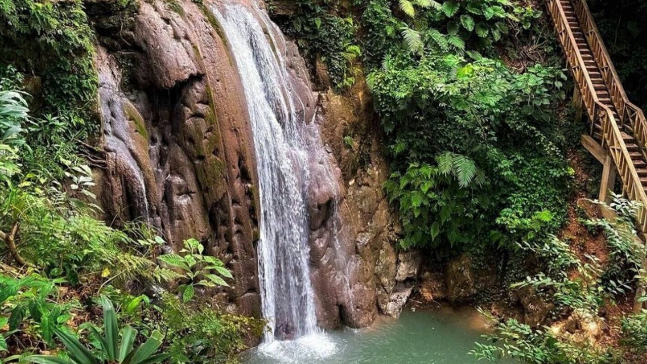 Photo of Others in Cabrera