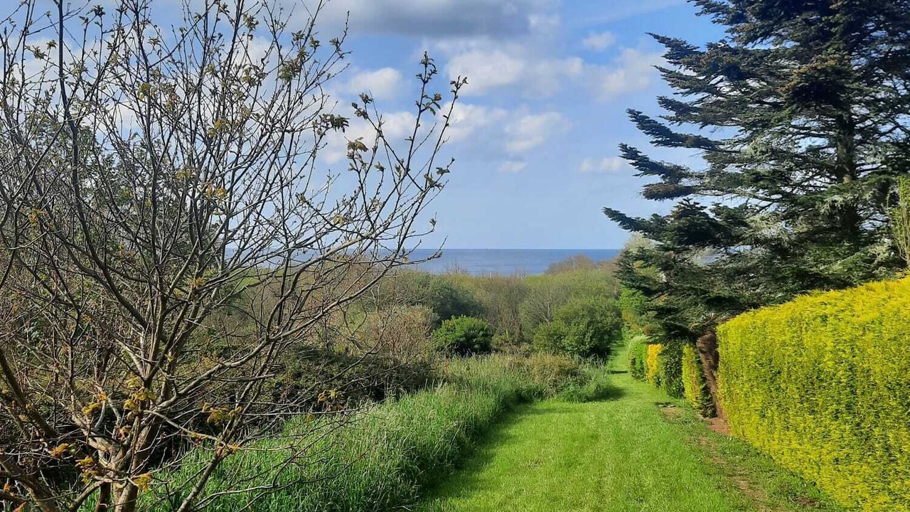 Photo of Outdoor in Locmaria-Plouzane