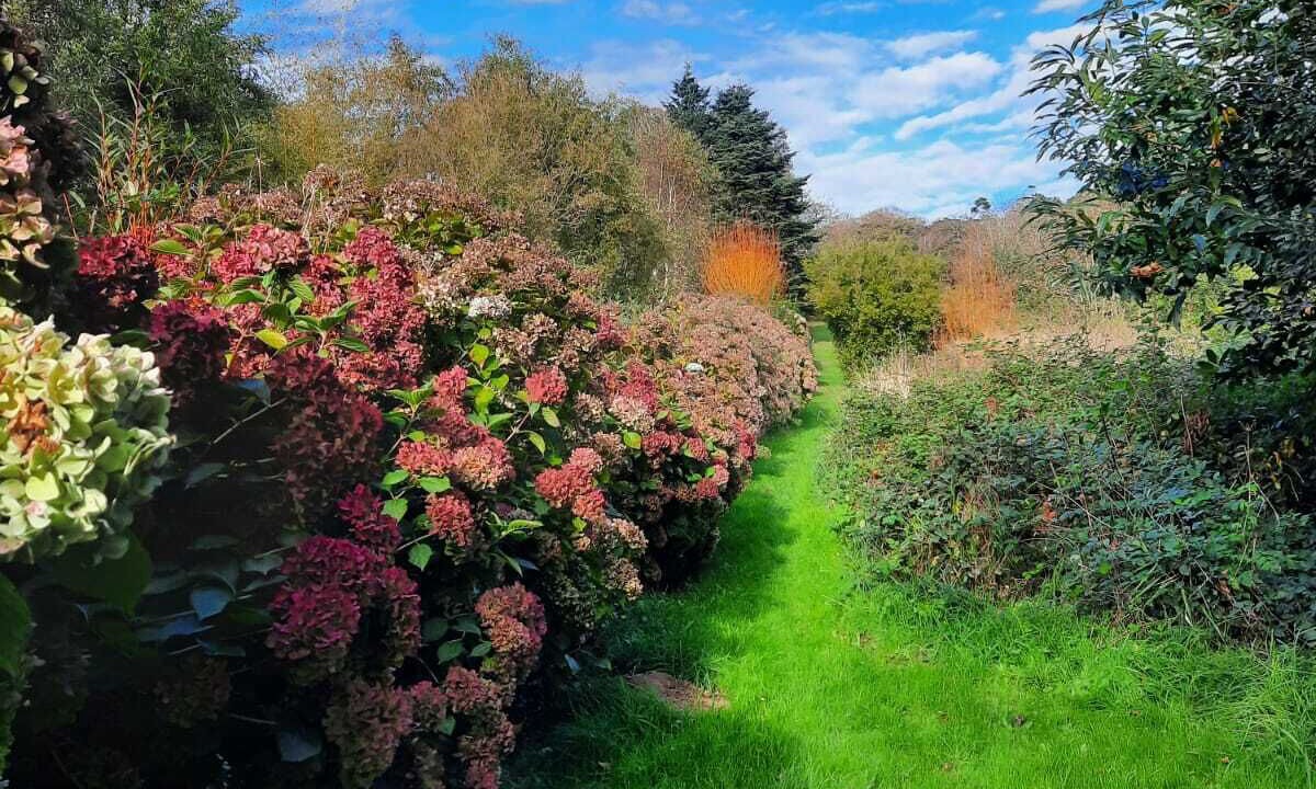 Photo of Outdoor in Locmaria-Plouzane