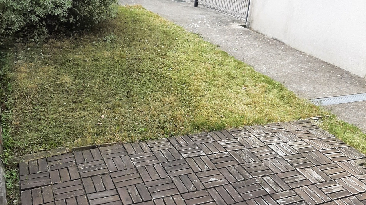 Photo of Outdoor in Saint-Joseph de Porterie