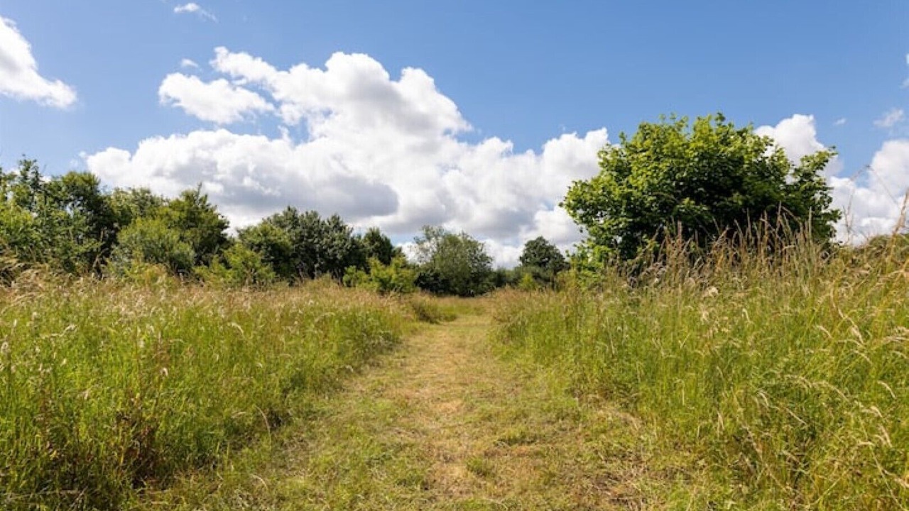 Photo of Outdoor in Sittingbourne