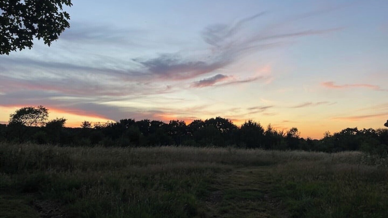 Photo of Others in Sittingbourne