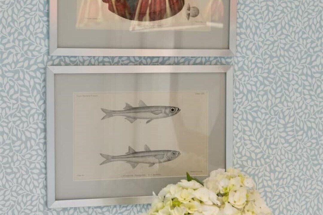 Photo of Others in Sittingbourne