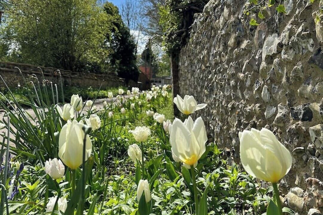 Photo of Outdoor in Sittingbourne
