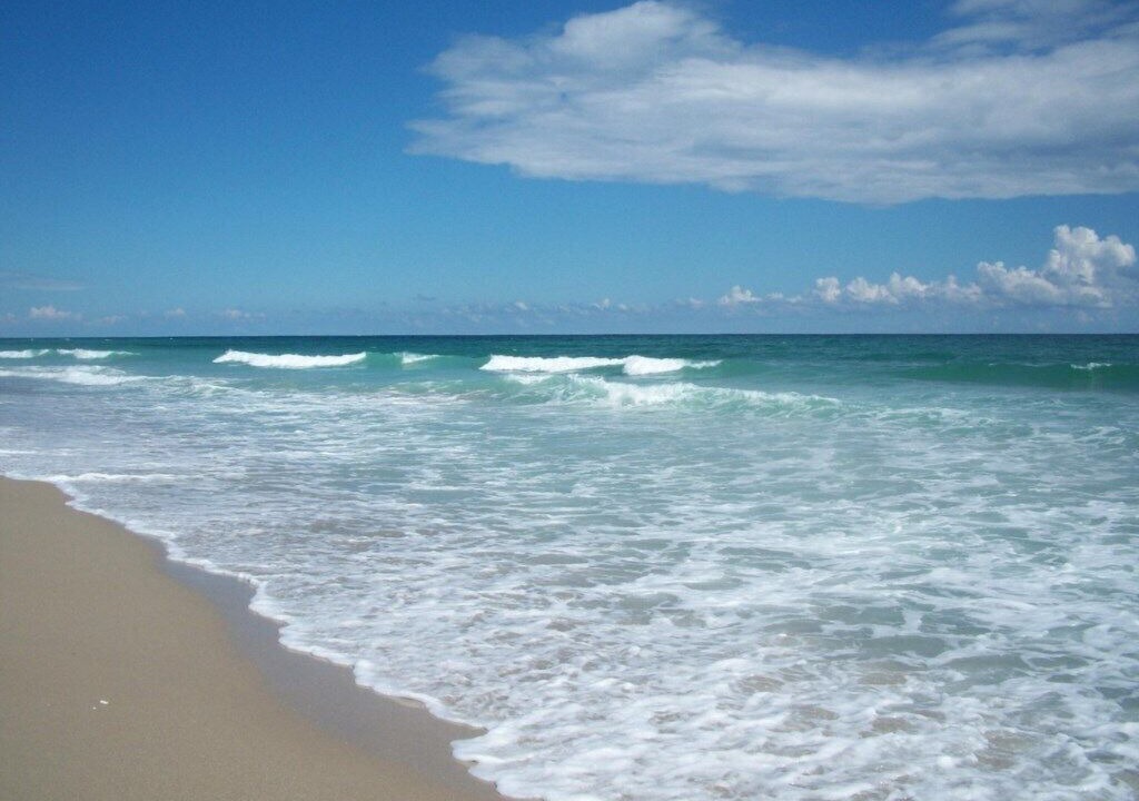 Photo of Others in Palm Beach Shores