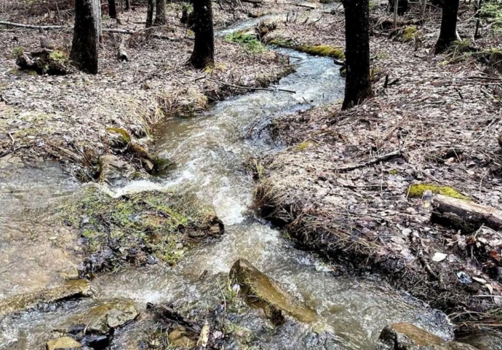 Photo of Others in Miramichi