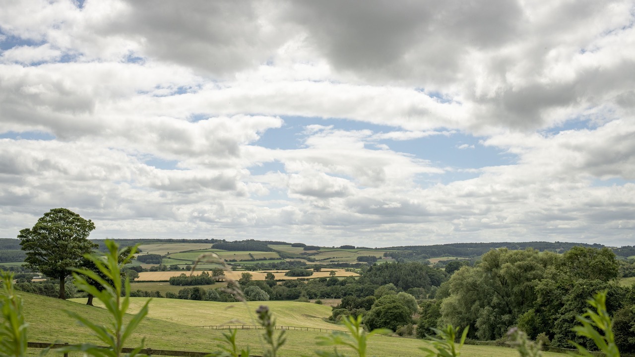 Photo of Others in Ampleforth