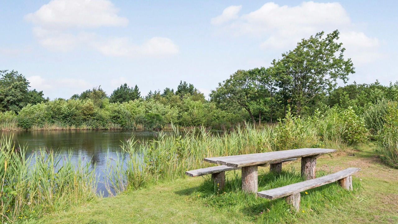 Photo of Others in Lodbjerg Hede