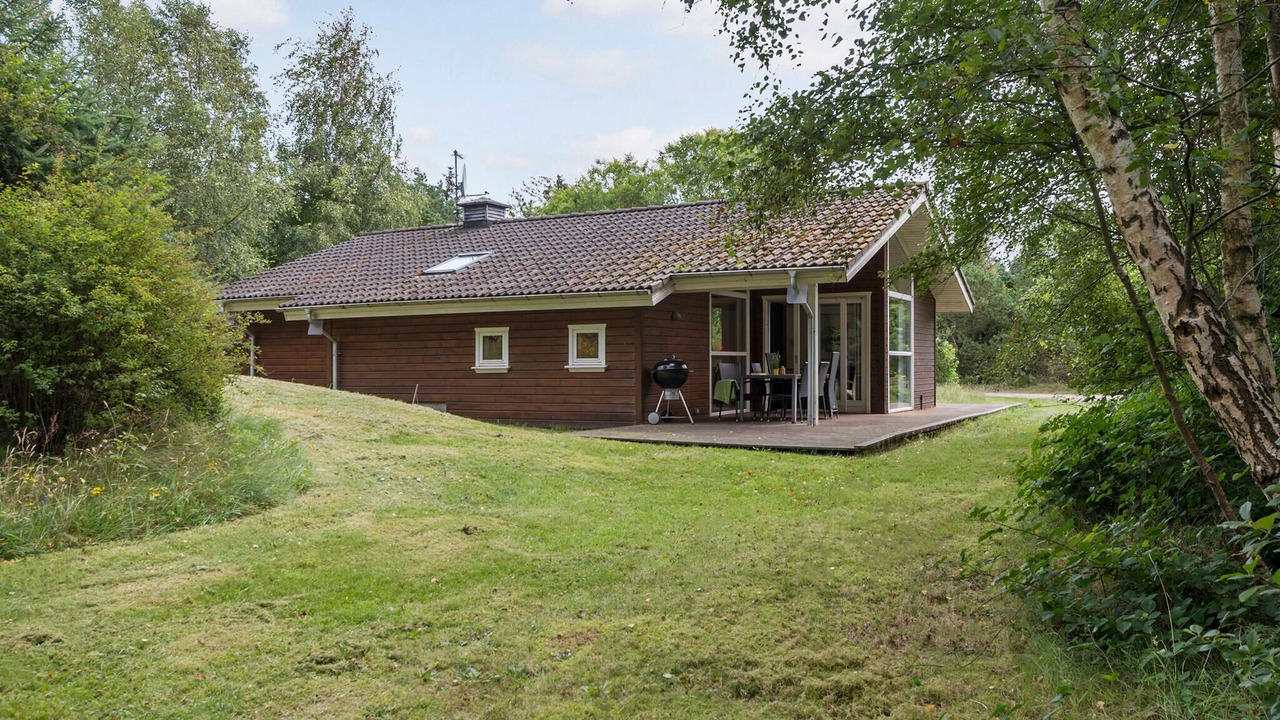 Photo of Others in Lodbjerg Hede