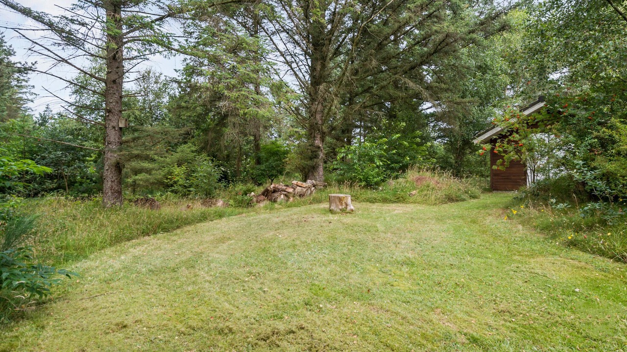 Photo of Others in Lodbjerg Hede