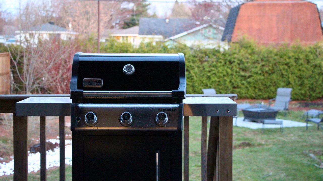 Photo of Outdoor in Sault Ste. Marie